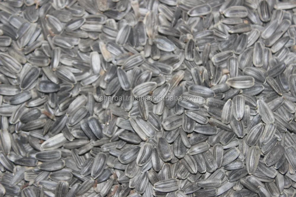 Sunflower cooking oil