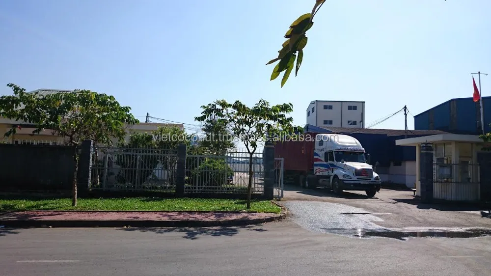 Crispy roasted coconut chips