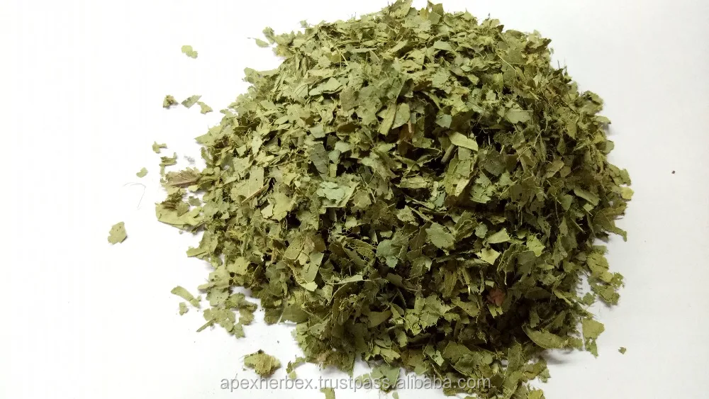 
TBC Cassia Alata LEAVES AND T CUT 