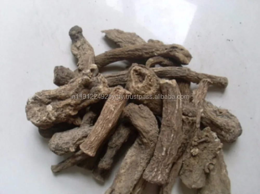 100% Pure High Quality Costus Root Essential Oil