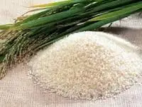 VIET NAM Glutinous rice, Sticky rice high quality_KHANH TAM PRIVATE ENTERPRISE