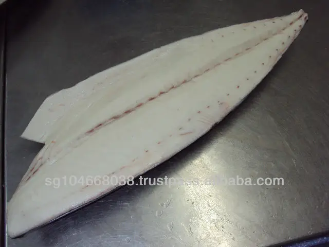 Frozen Fish Fresh Tilapia Supplier Block Bulk Style Packaging Package Weight Lbs Shelf Origin Latin Type Frozen Oilfish Fillets