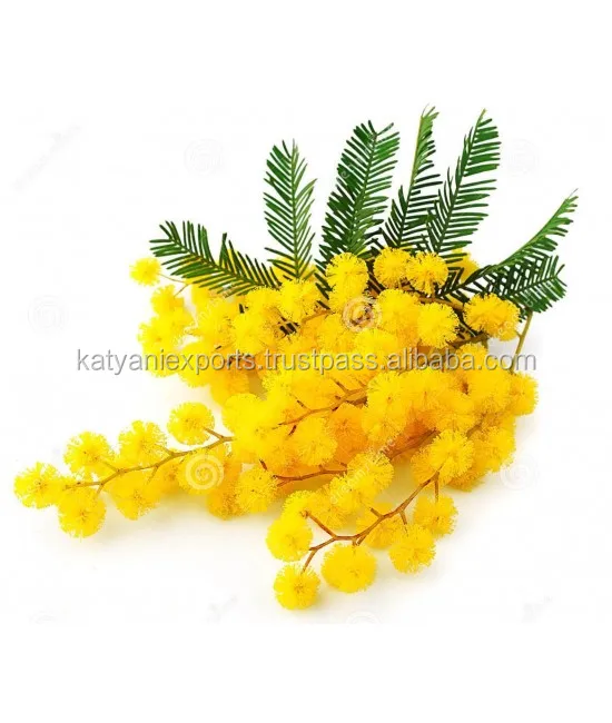 Индийский цветочный воск Mimosa поставщик №