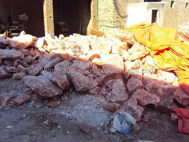 Himalayan Salt Lick - Animal Special