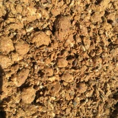 
Organic Animal Feed Cotton Seed Meal Bulk exporter 