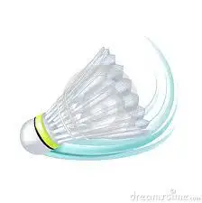 2021 Профессиональный бадминтонный мяч воланы для бадминтона с утиными перьями помещений