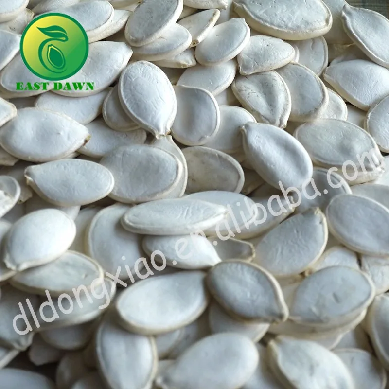 Best Raw Edible Snow White Pumpkin Seeds All Kinds Pumpkin Seeds Buyers