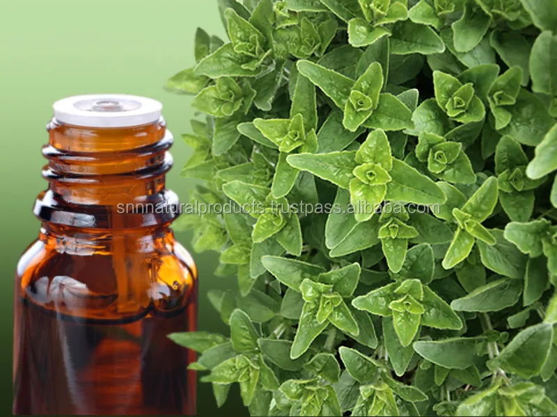 Bulk Oil of 100% Pure Therapeutic Grade Oregano Oil Carvacrol For Body Massage and Care By Leading Supplier