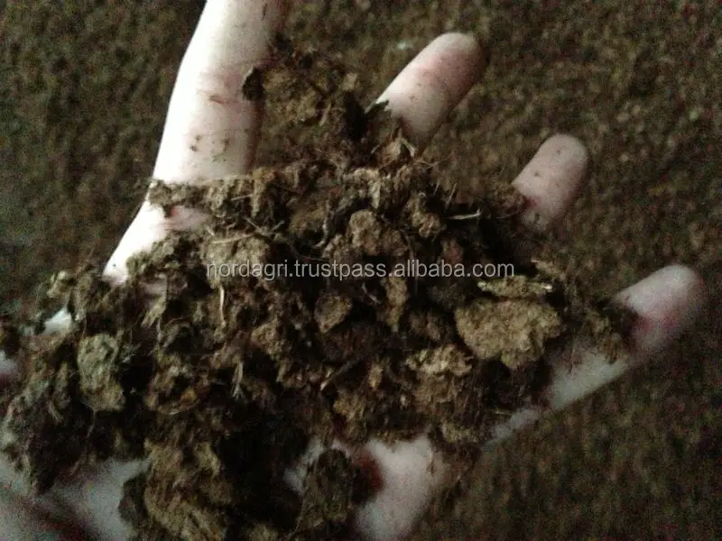 
Peat moss soil for blueberries 