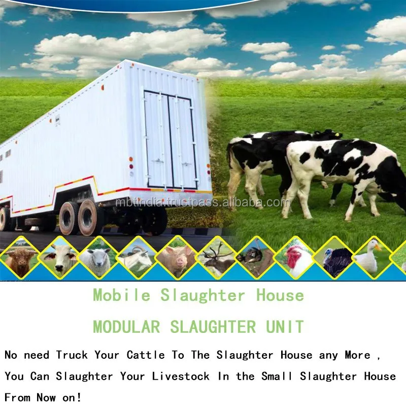 
Mobile slaughter equipment cattle slaughter equipment poultry slaughter unit hen duck profession production small sluaughter set 