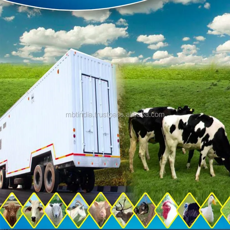 
cheap farm slaughter house farm machinery agriculture equipment 10 Beef /Big Cattle, 30 hogs/Pig, or 50 Sheep/Goat per Day 