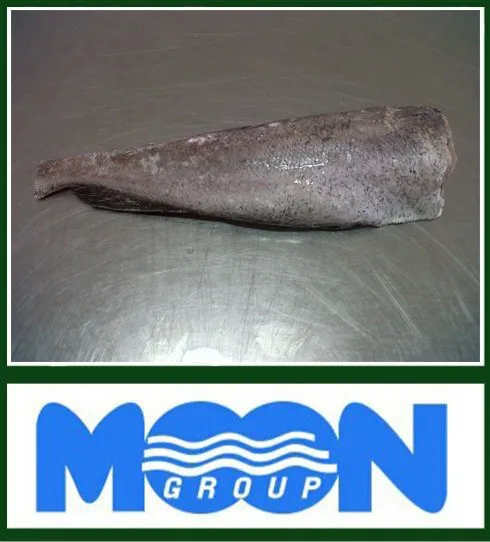 Merluccius Productus