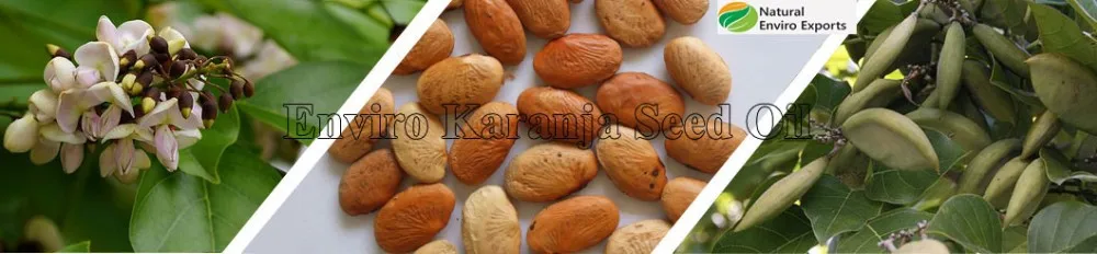 Multiuse Pure & Natural Karanja Seed Oil extracted by cold press method used for agricultural and cosmetic purposes