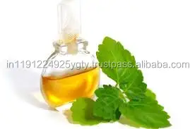 100 pure natural therapeutic grade aroma private label pure patchouli essential oil for Aromatherapy Skin care Massage Spa