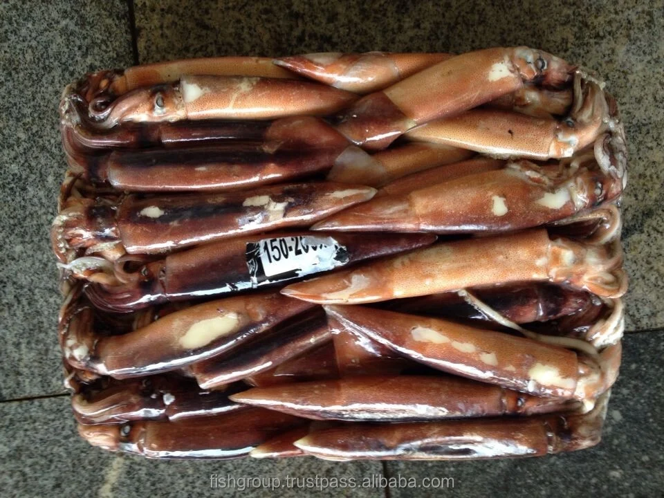 Серийный круглый кальмар Seafrozen Jigger Illex