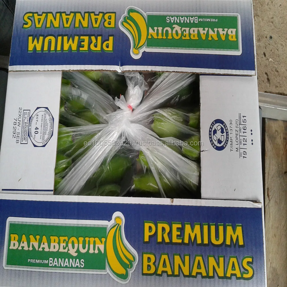 
BANANAS FROM ECUADOR-GREEN AND FRESH 