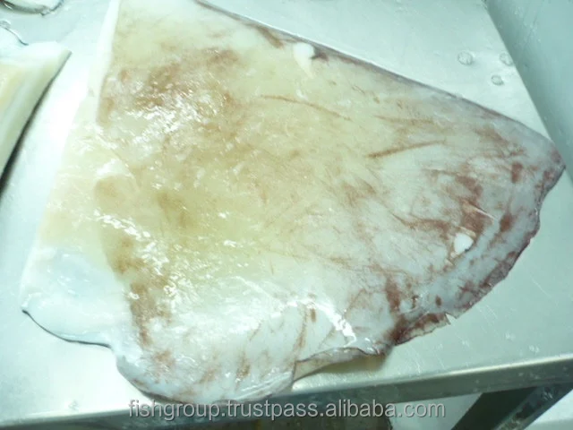 Best Quality No Preservatives 24 months Shelf Life Frozen Calamari Giant Squid Wing Seafood Exporter