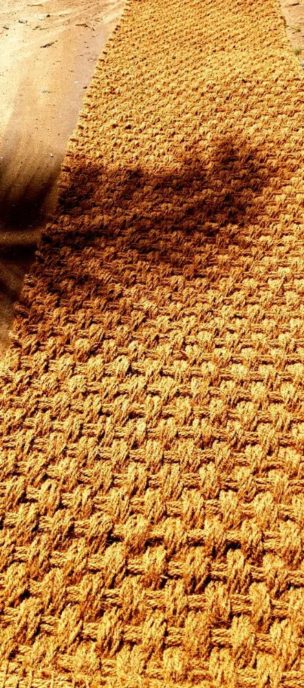 
Coir Geotextiles / Erosion Control Mats 
