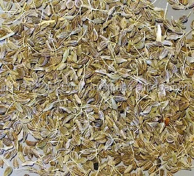 wholesale pure carrot seed oil Therapeutic Grade Essential Oil OEM/ODM