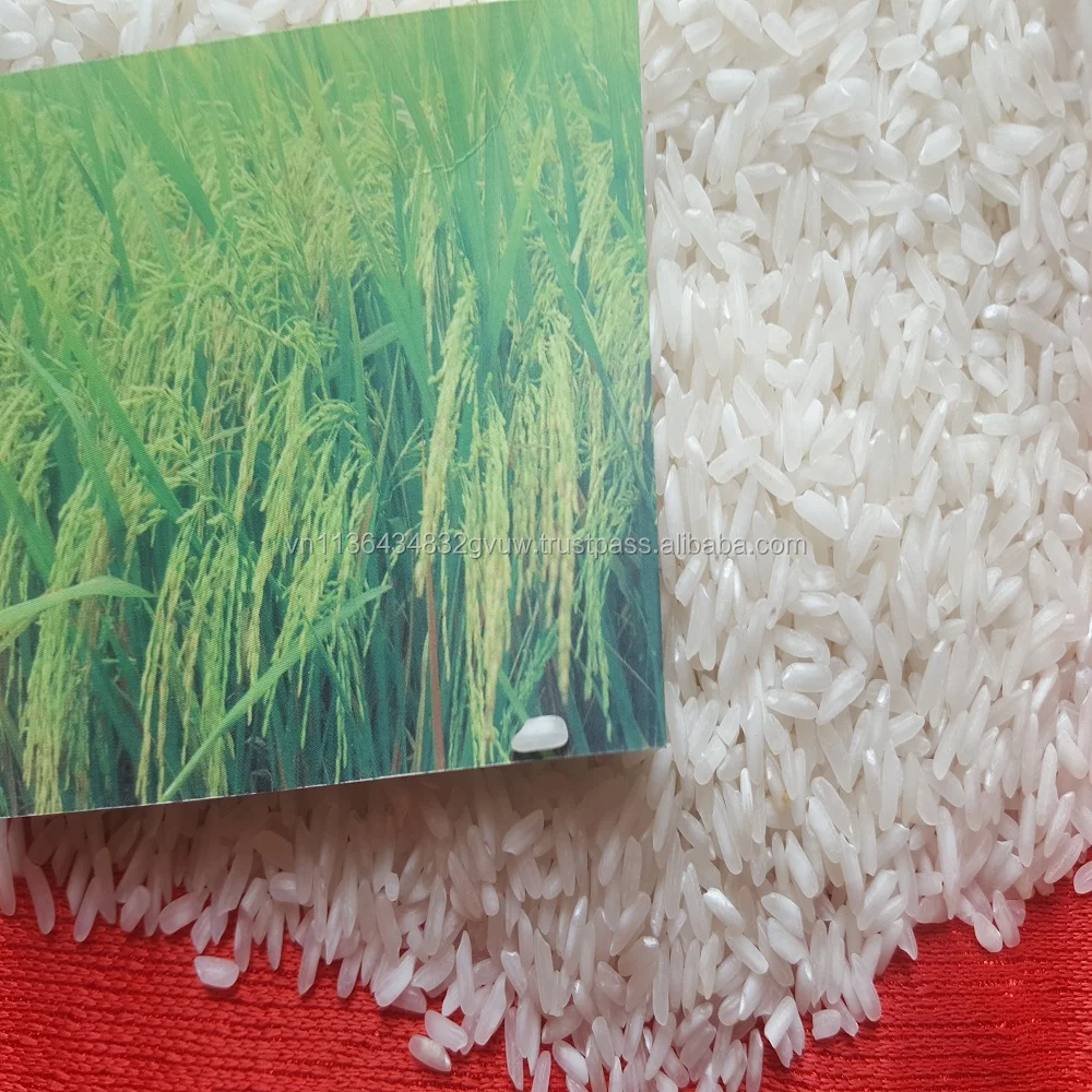 VIETNAM 5% BROKEN WHITE RICE
