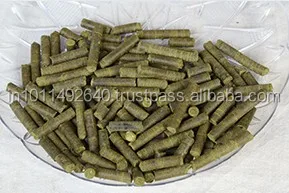 Moringa Animal Feed Additives Stick Shape Moringa pellets made with only Moringa dried leaves wholesale for dairy farms