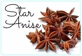 STRONG FLAVOR SPICY STAR ANISE cheap price Spices high quality Viet Nam origin