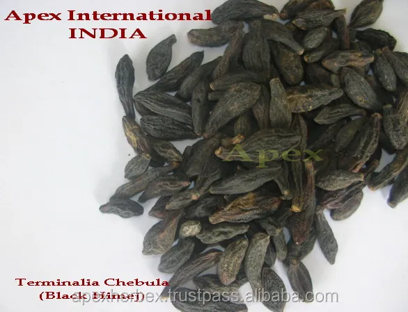 
Harrad Terminalia chebula Black Himej Harad yellow 