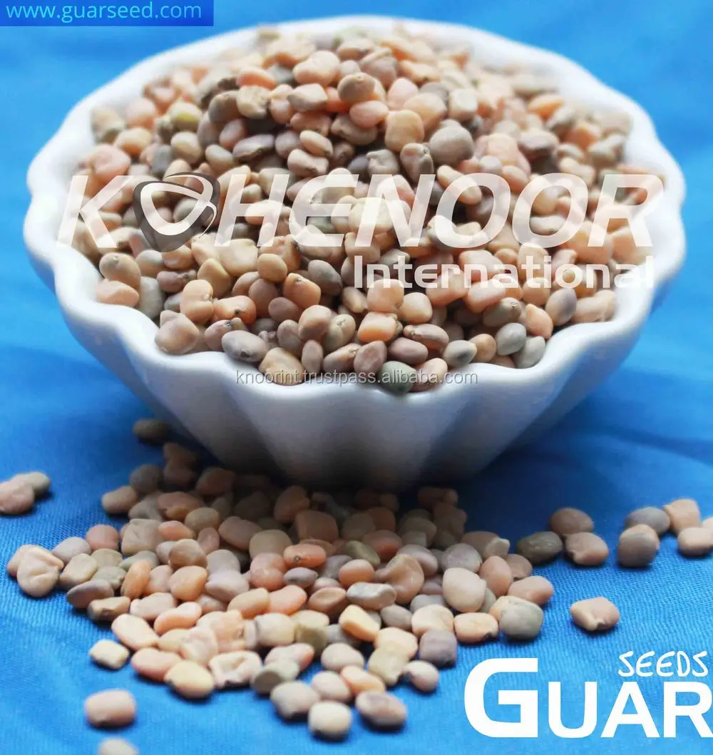 Guar Seeds / Guar Beans