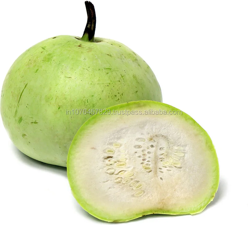 
TINDA SEEDS MARUTI MOHAN F1 HYBRID FOR SOWING 