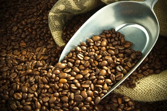  Популярные кофейные зерна robusta во Вьетнаме-оптовая продажа кофейных зерен экспортируется в США ЕС Корею ОАЭ-вьетнамский зеленый