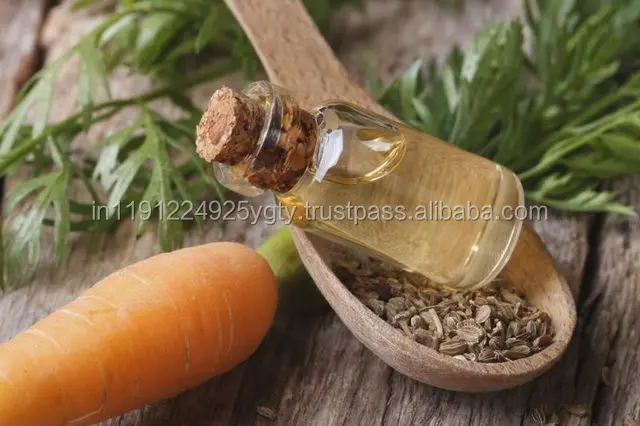 wholesale pure carrot seed oil Therapeutic Grade Essential Oil OEM/ODM