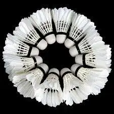 2021 Профессиональный бадминтонный мяч воланы для бадминтона с утиными перьями помещений