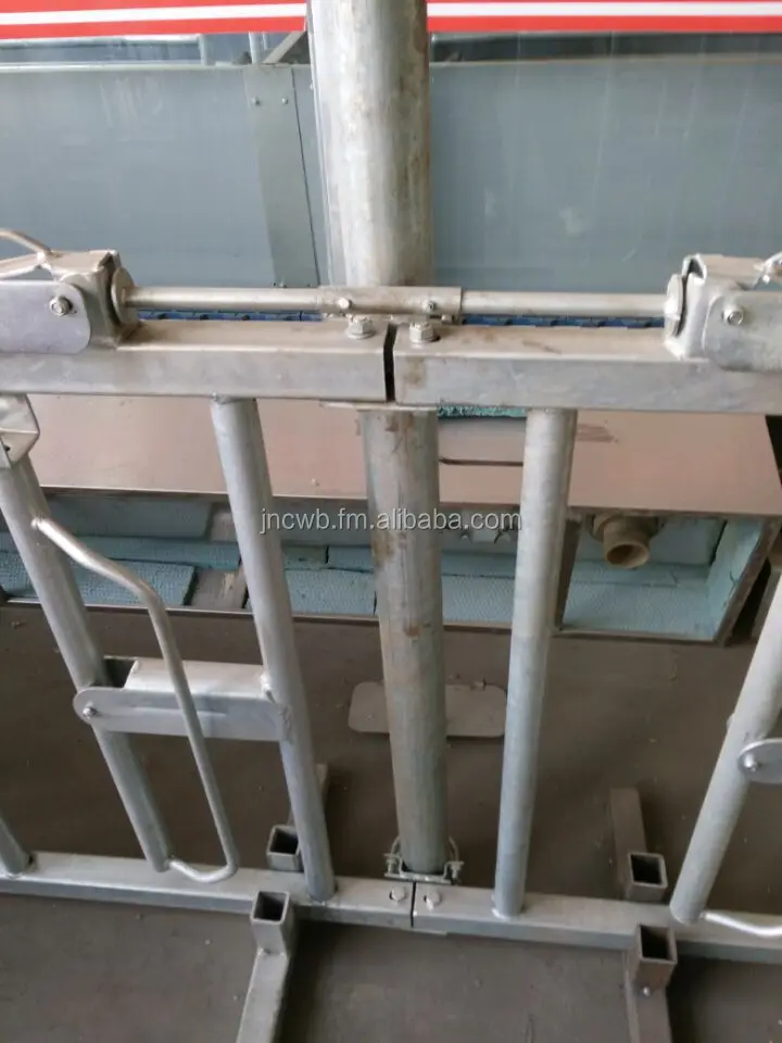  Cow Headlock and Free Stall for dairy cow farm equipment high good quality sale