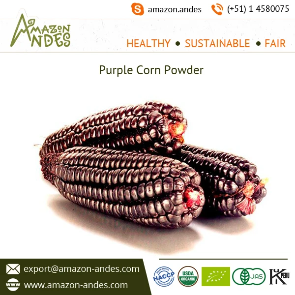 100% Pure Purple Corn Powder with No Added Chemicals And Preservatives