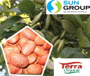 100% Karanja Oil obtained from naturally occuring karanja kernel is now available in 250 ml HDPE bottles