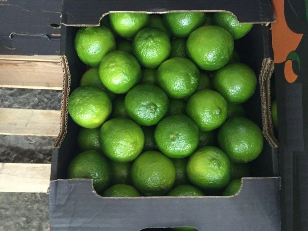 
fresh organic seedless lime 