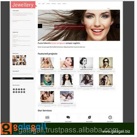 Alibaba Online Wholesale Shopping Website Design and Web Development in Magento with SEO