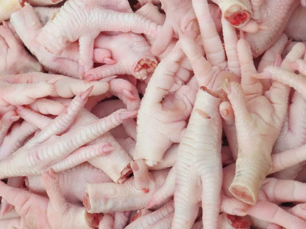 HALAL PROCESSED CERTIFIED FROZEN CHICKEN FEET & PAWS FROM MANUFACTURER