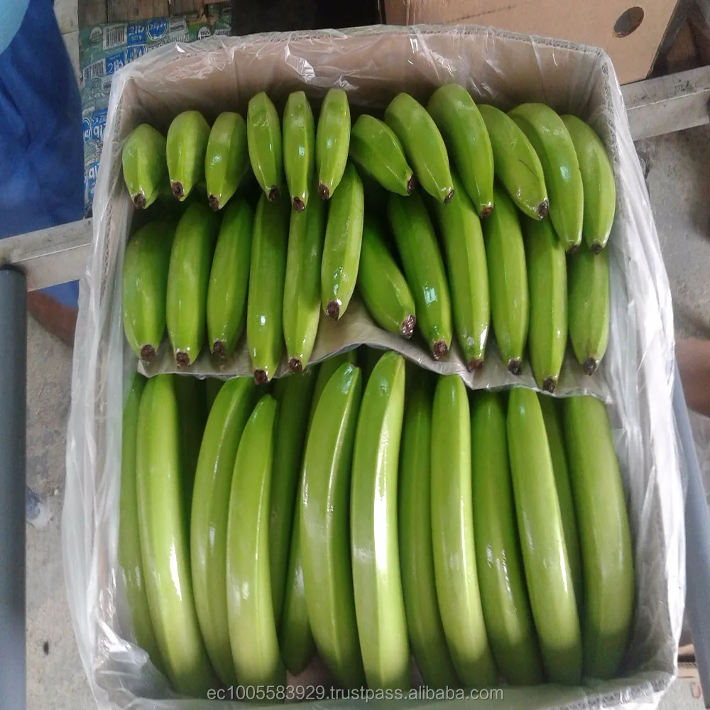 
Fresh Bananas from Ecuador 