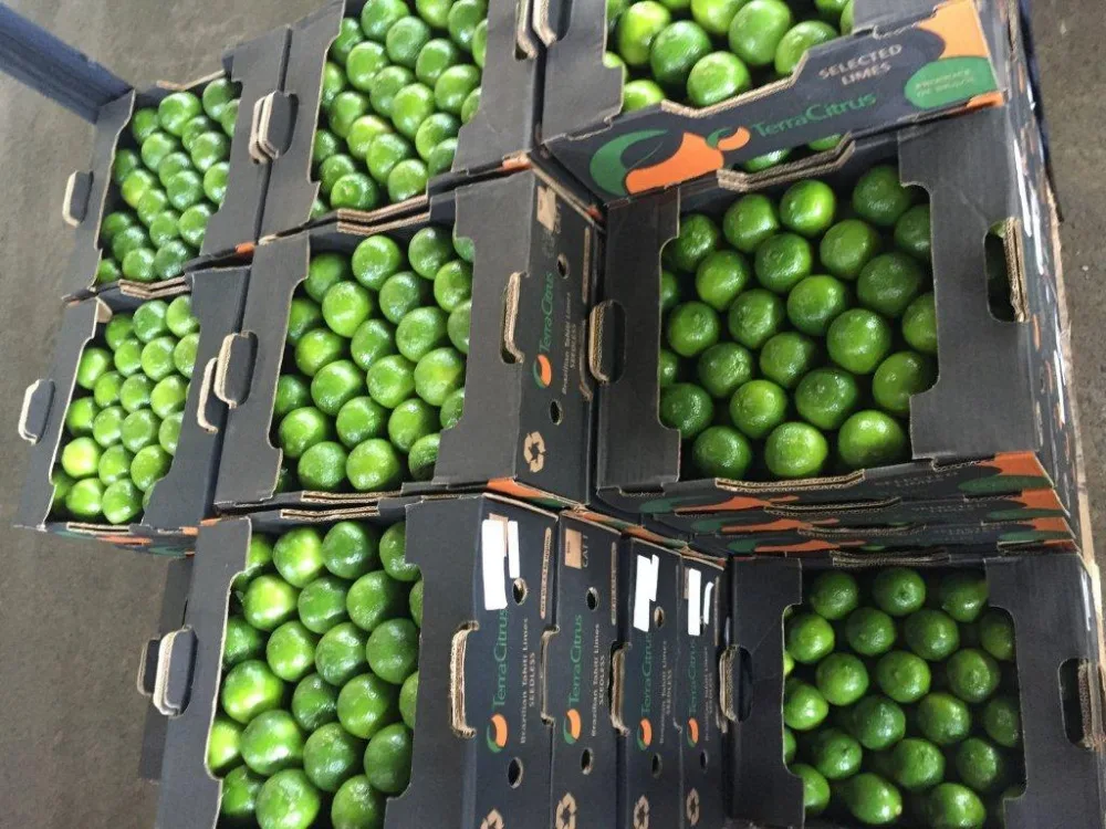 
fresh organic seedless lime 