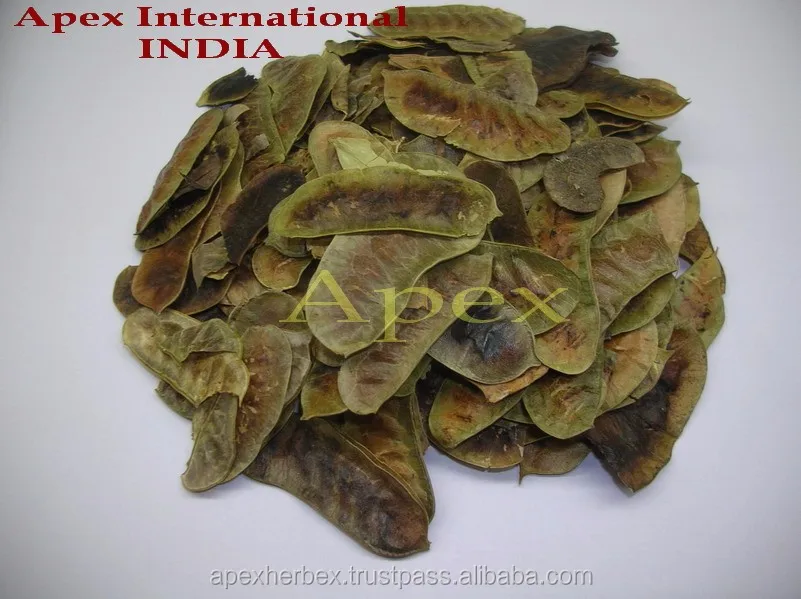 
Organic Senna pods Pure Senna Pods T cut Senna Pods Powder 