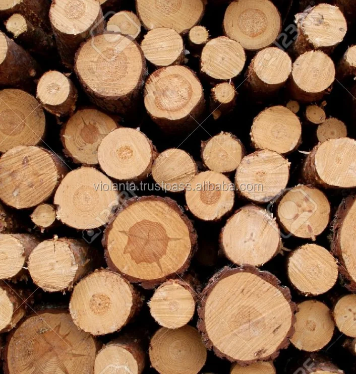 RUSSIAN Timber Log / Sawlogs /Wood round logs lumber /PINE SPRUCE