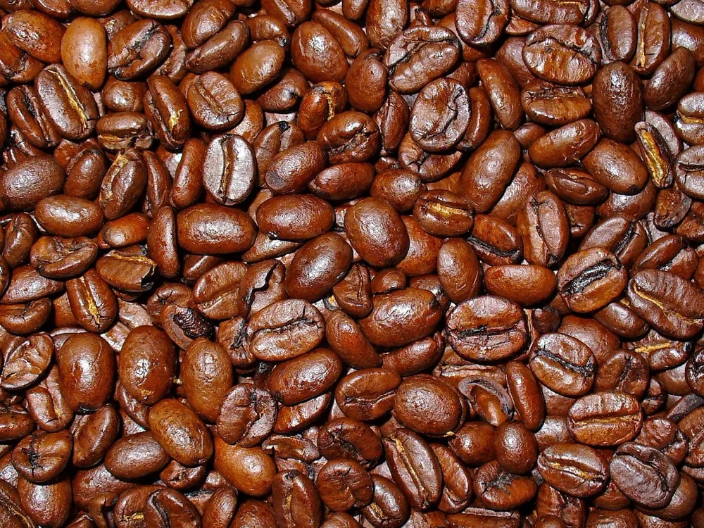  Популярные кофейные зерна robusta во Вьетнаме-оптовая продажа кофейных зерен экспортируется в США ЕС Корею ОАЭ-вьетнамский зеленый