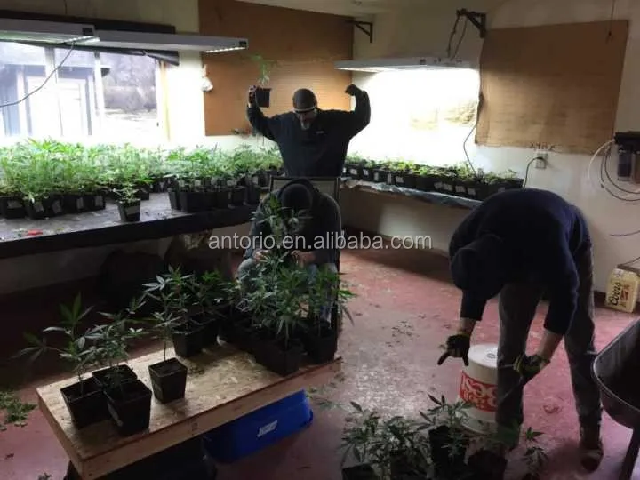 T5 ho  grow Light with  electrical accessories LED or fluorescent bulbs optional  price  8 bulb t5 ho light bulbs