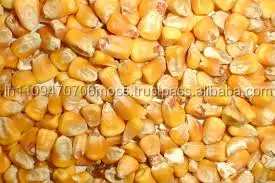 Corn Cooking oil