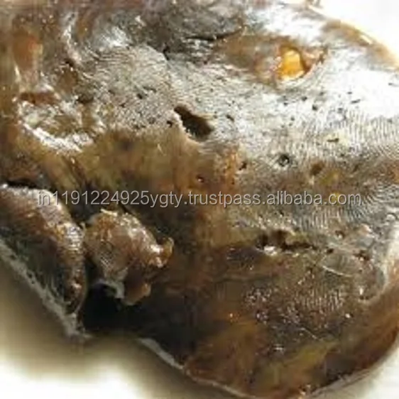 100% Pure Galbanum Essential Oil At Wholesale Price From India