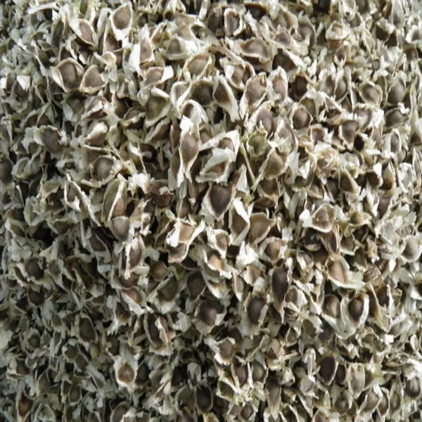 PKM1 Wholesale Moringa Seed Supplier-  -- Whatsapp :+91 73580 94554