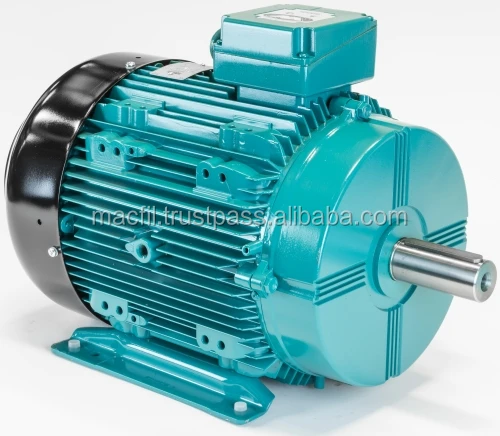 BC Induction Motor