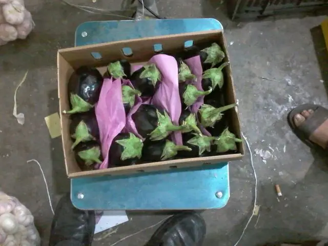 
grade A fresh organic eggplant 
