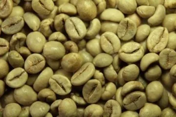 VIETNAM ROBUSTA COFFEE GREEN BEANS
